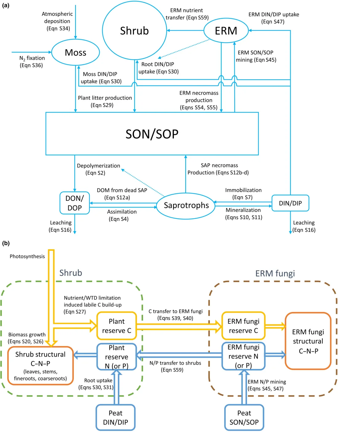 Two-panel MWM structure diagram: nutrient flows among moss, shrubs, ericoid mycorrhizal fungi, saprotrophs and soil organic and inorganic pools, and the carbon, nitrogen and phosphorus exchange between shrub and ericoid mycorrhizal reserves